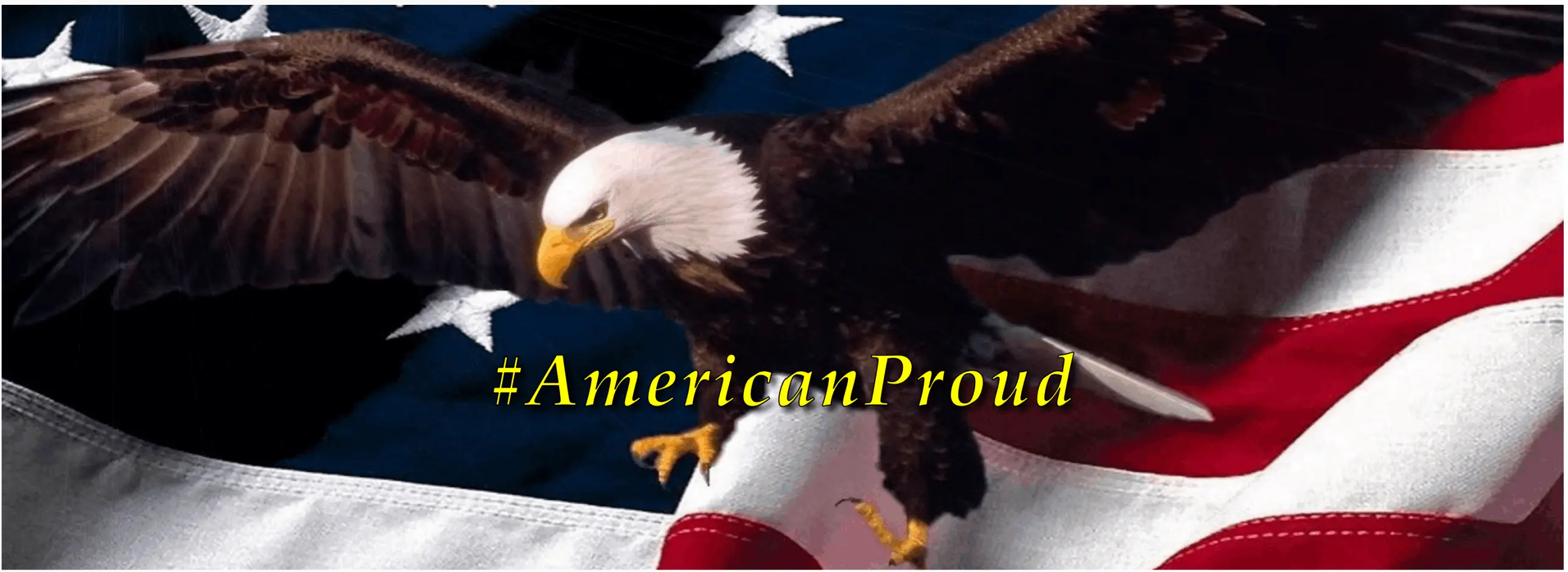 BurksQuailRun.com - American Proud!