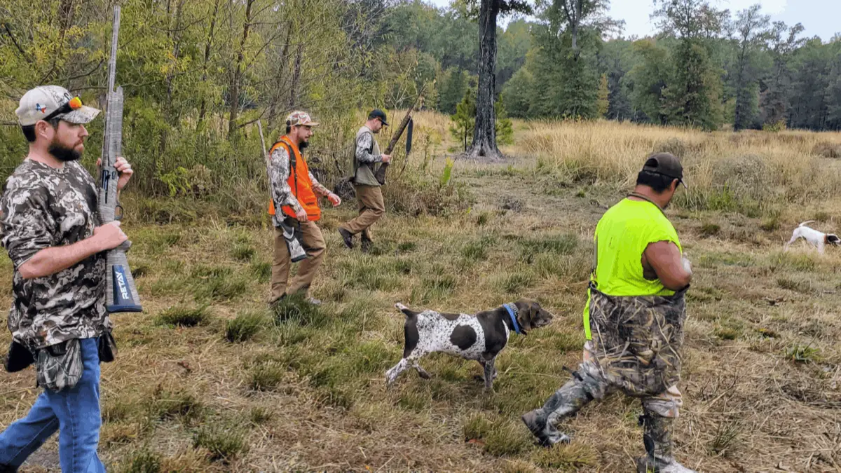 BurksQuailRun.com - Early Hunt